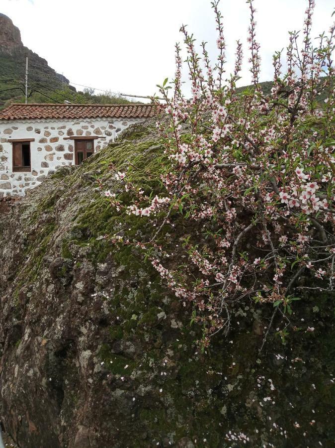 Vakantiehuis Ilusiones