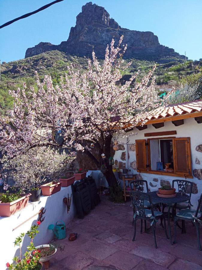 Ilusiones * Tejeda (Gran Canaria)