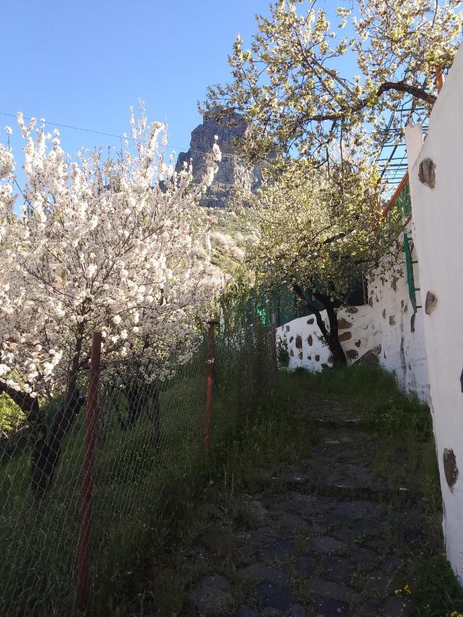 Ilusiones Tejeda (Gran Canaria)